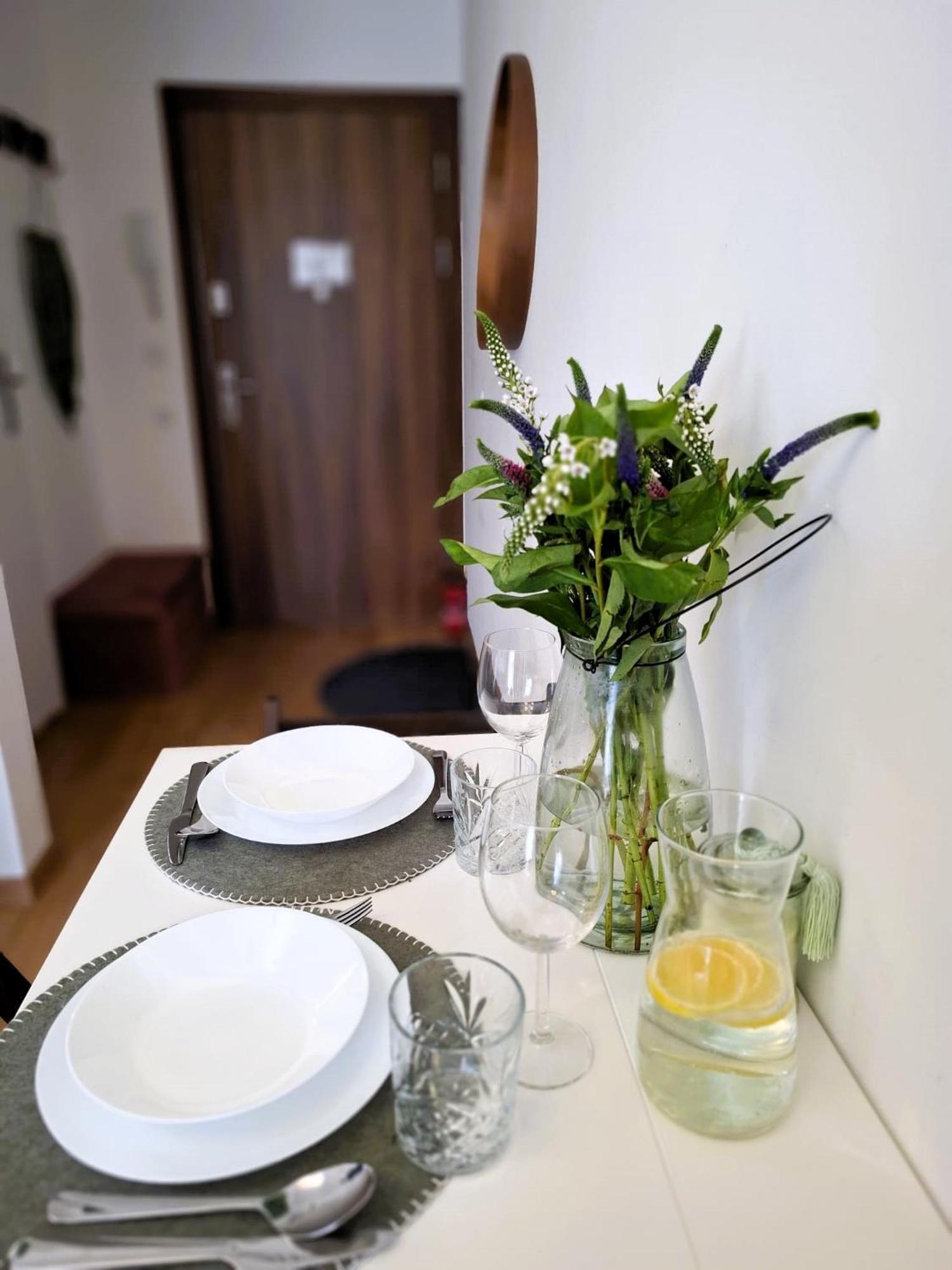 Apartament Na Grobli, Przy Kladce Zwierzynieckiej فروتسواف المظهر الخارجي الصورة
